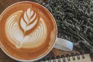 Da Dreamer - Cafe & Hostel
