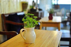 Dạ Khúc Cafe