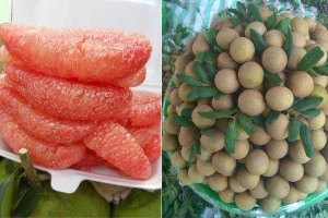 Đặc Sản Miền Tây - Trịnh Đình Trọng - Shop Online