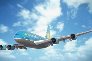 Đại Lý Vé Máy Bay Giá Rẻ