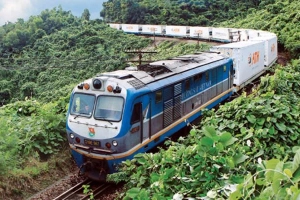 Đại Lý Vé Tàu Tavivu