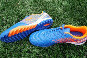 Đại Việt Sport - Hà Nội