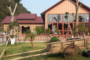 Dairy Farm - Trang Trại Bò Sữa Môc Châu