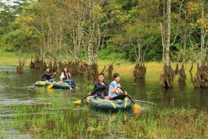 Dalat Discovery - Khám Phá Đà Lạt