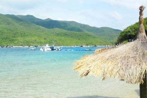 Đầm Bấy