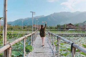 Đảm Tràm Chim