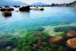 Đảo Bình Hưng