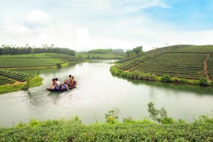 Đảo Chè Thanh Chương