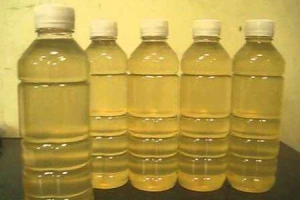 Dầu Dừa Nguyên Chất - Shop Online