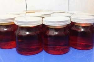 Dầu Gấc Tibi - Shop Online