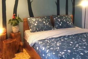 Daviden Homestay