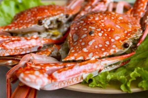 Nhà Hàng Điện Ảnh
