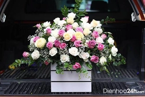 Dienhoa24gio.com
