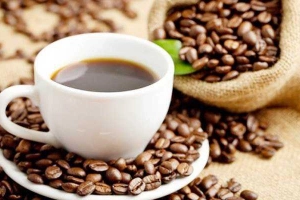 Diệu Thảo Cafe - Quốc Lộ 1