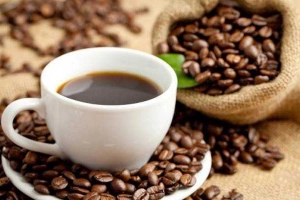 Đông Phương Cafe - Quốc Lộ 13