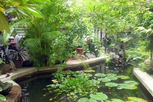 Đông Thảo Cafe
