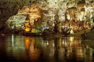 Động Từ Thức