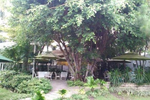 Đồng Xanh Cafe - Lê Đức Thọ