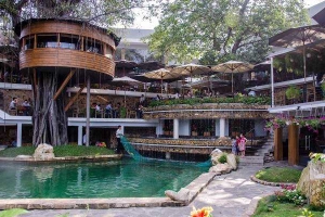 Du Miên Garden Cafe - Phan Văn Trị