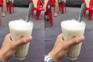 Dừa Dầm Hải Phòng - Đình Thôn - Shop Online