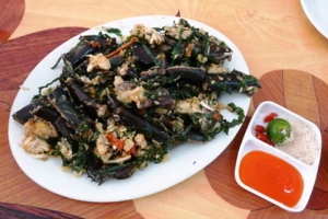 Đức Thương - Sam Biển