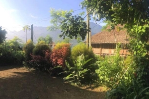 Duy Phường Homestay