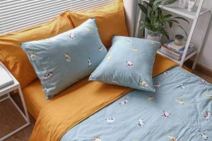 EnVogue Home - Hoàng Văn Thái