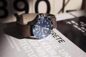 EraWatch - Bắc Hà Tower
