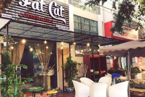 Fat Cat - Coffee & Tea