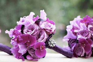 FloraVina