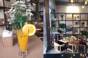 Food Land - Restaurant & Coffee