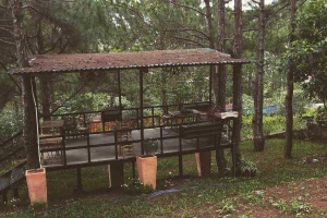 Forest 49 In Dalat