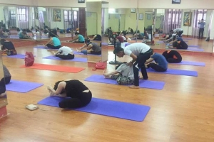 FOX Yoga