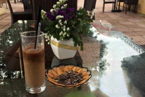Freddo Coffee