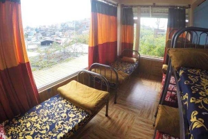 Freedumb Hostel
