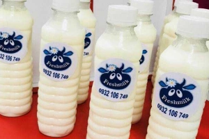 Fresh Milk - Shop Online