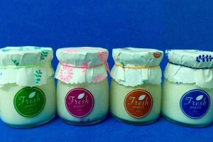 Fresh Yogurt Homemade - Shop Online