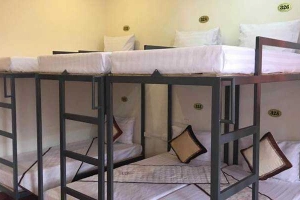 Funky Jungle Hostel