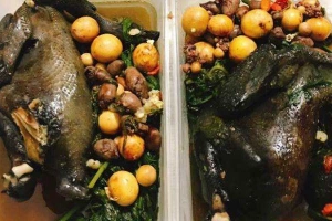 Gà Ác Tần Thuốc Bắc - Shop Online