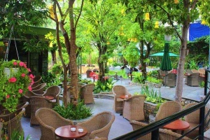 Galaxy Garden Coffee