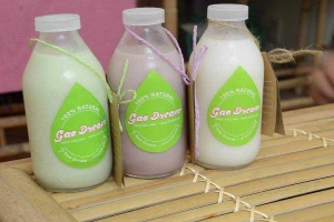 Gạo Dream - Shop Online