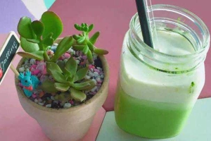 Gattino Cafe - Quang Minh