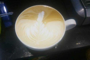 Gấu Già Coffee