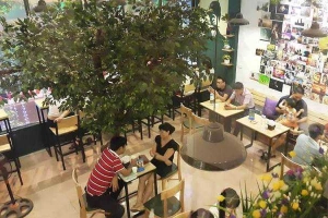 Gemini Coffee - Nguyễn Chí Thanh
