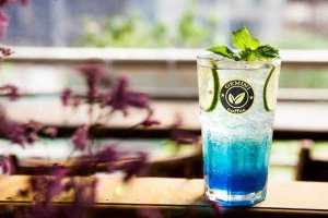 Gemini Coffee - Triệu Việt Vương