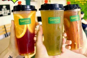 Gemini Coffee