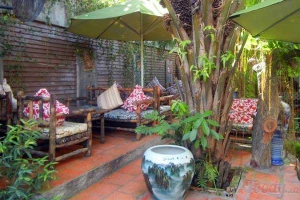 Gốc Cây Cafe