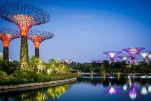 Golden Saigon Travel - Dịch Vụ Du Lịch