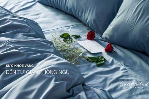 Gout To Bed - Nguyễn Trãi