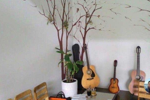 Guitar Mộc Cafe & Kem - Thái Thị Nhạn